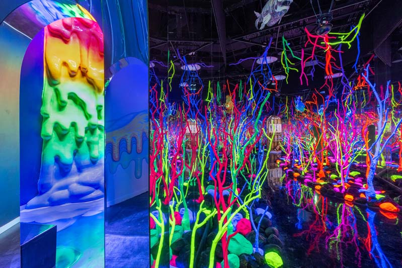 The Real Unreal | Tickets & Passes | Meow Wolf Grapevine