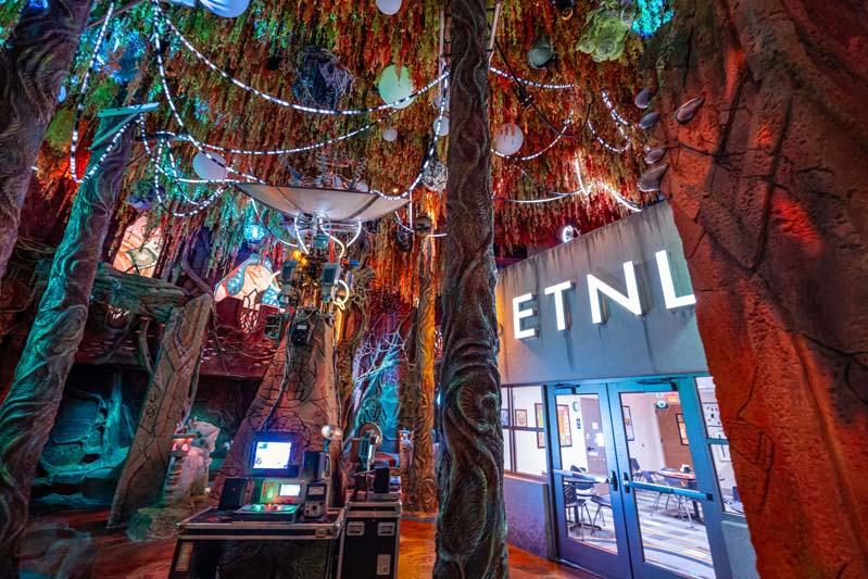 brightly colored forest with branches hanging down over a large building that says ETNL radio station