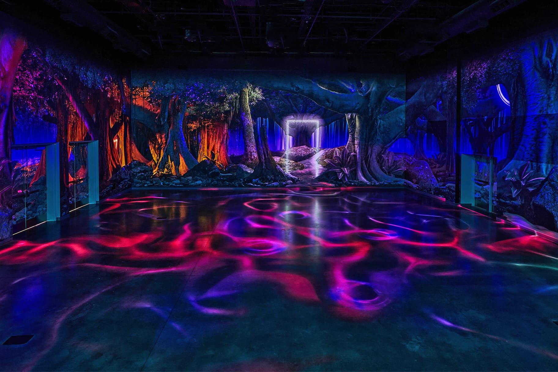 What is The Perplexiplex? | Meow Wolf