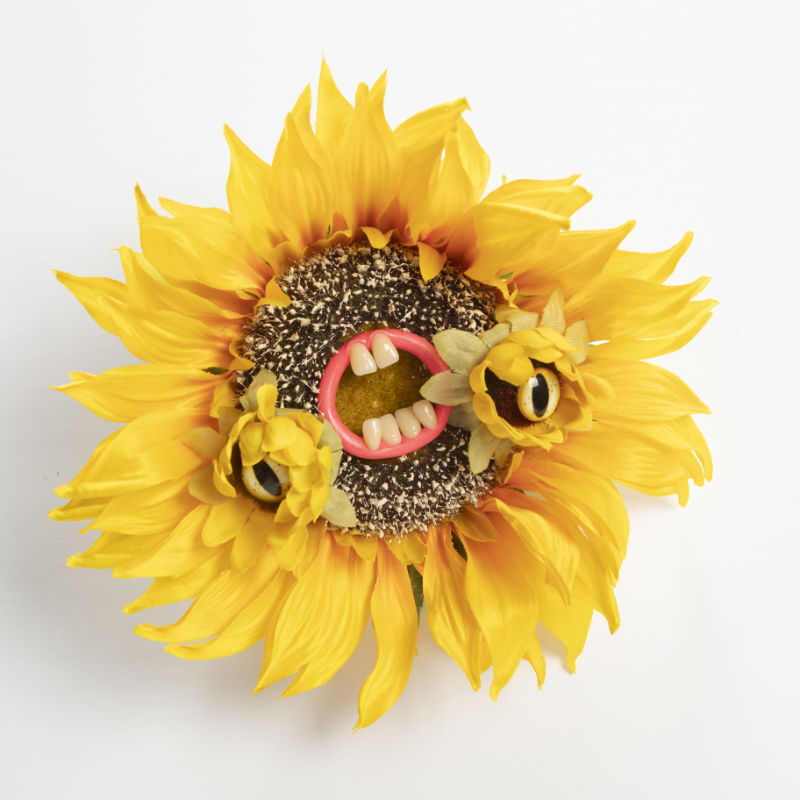 Sunflower with eyes and teeth