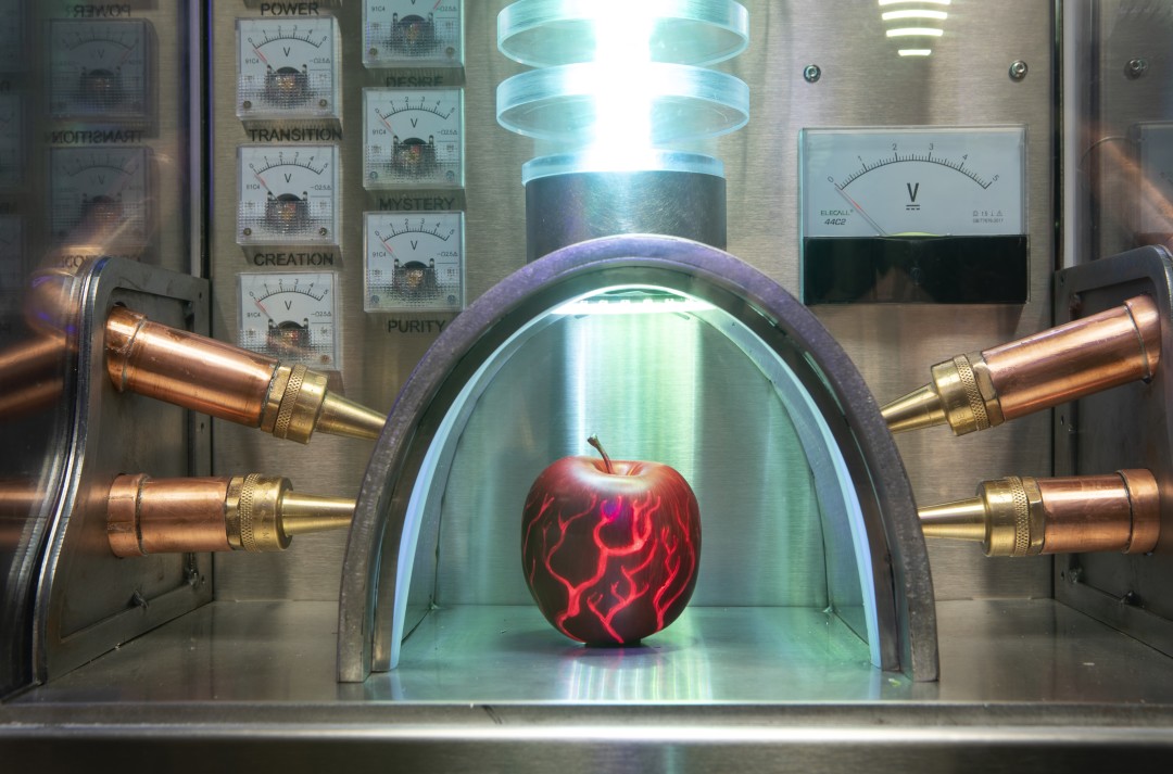 Experimental apple | Omega Mart