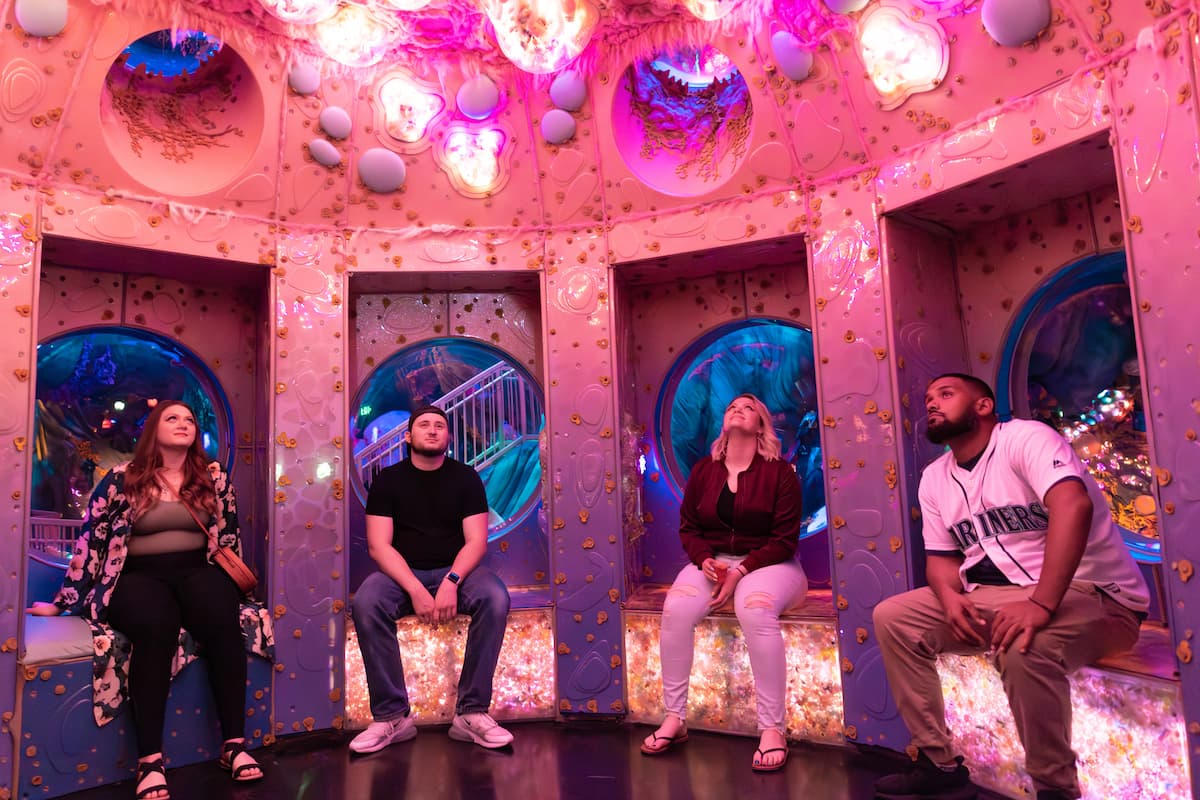 group of adults enjoying a meow wolf exhibit in a space theme room in denver