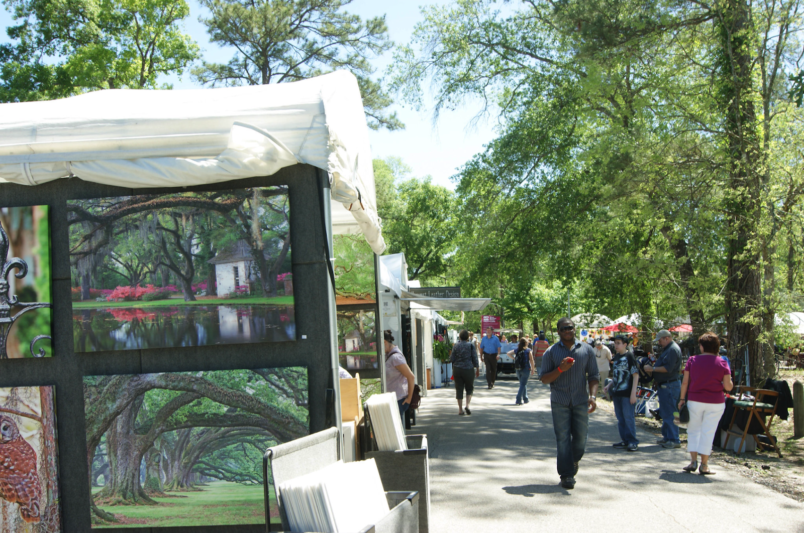 Art for sale at the Bayou City Art Festival in Houston.