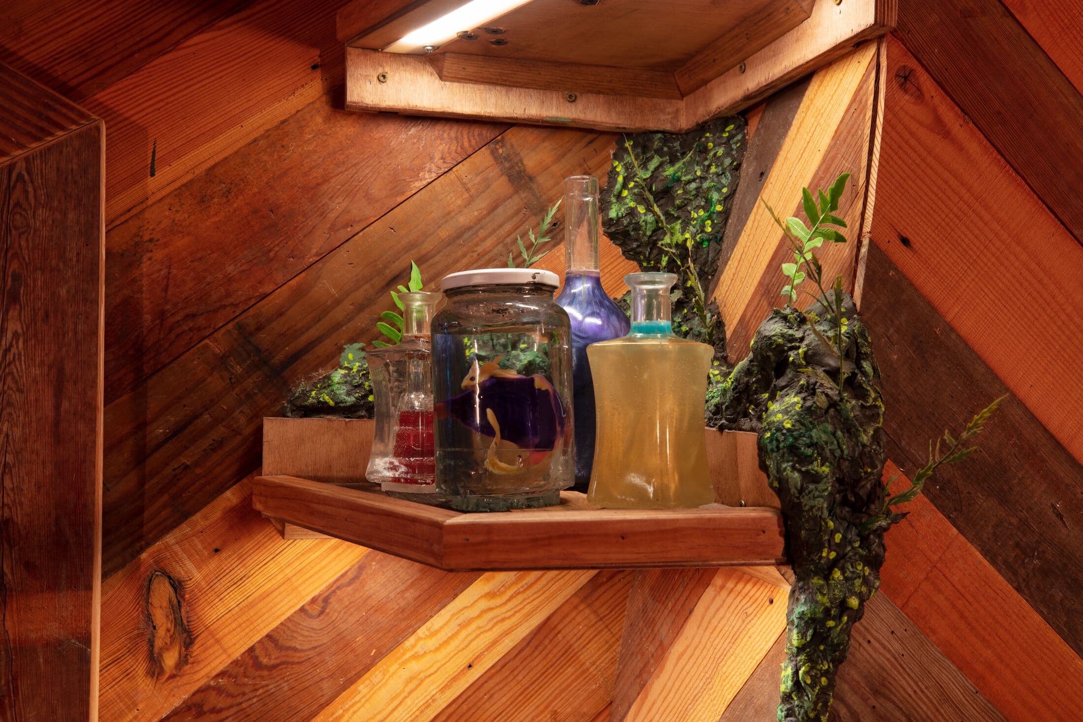 jar with a small creature inside a treehouse