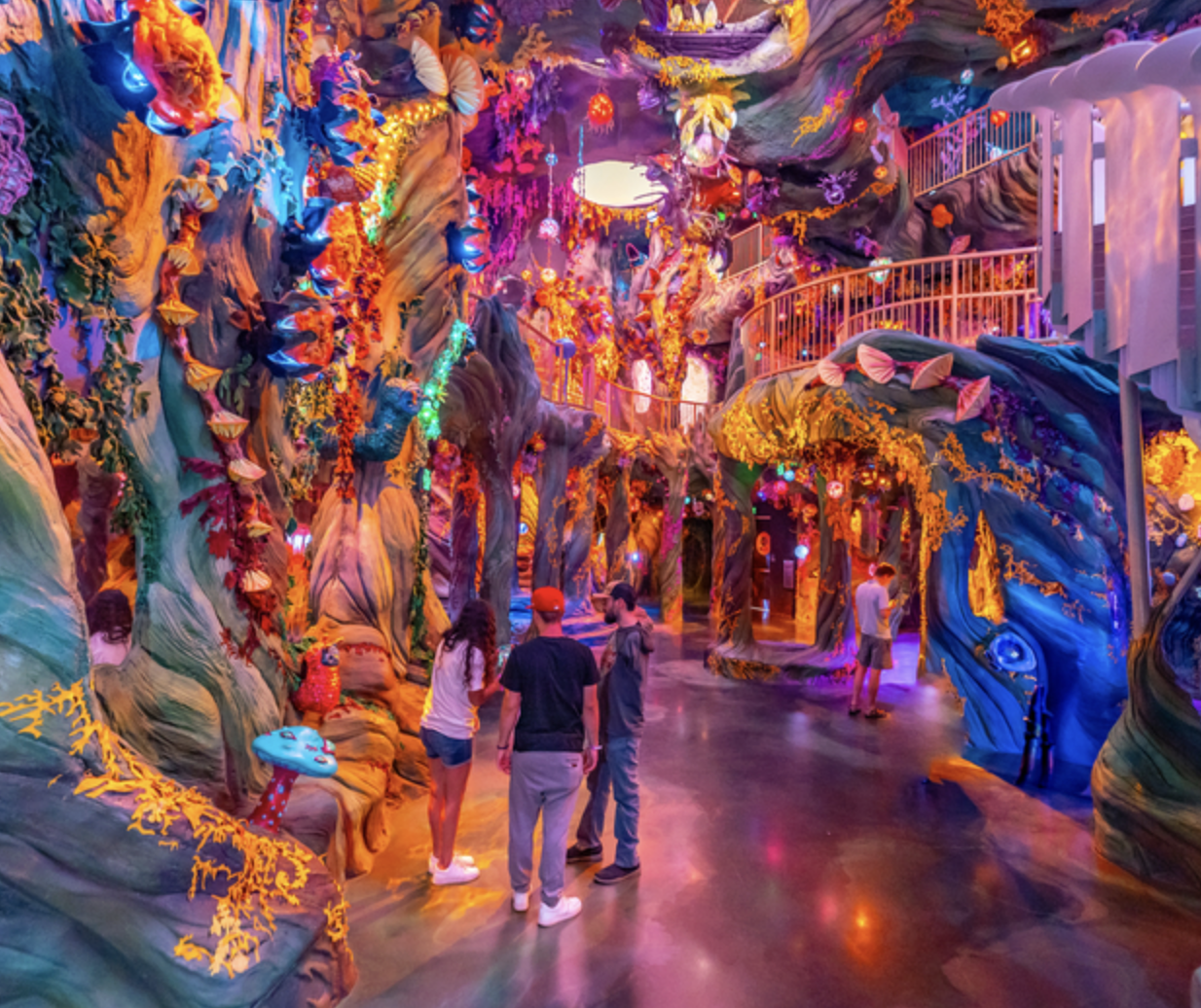group of people walking through art museum meow wolf