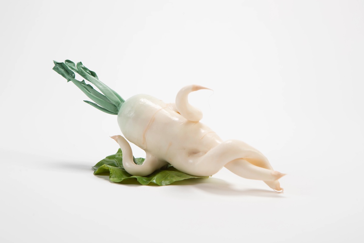 root vegetable laying down