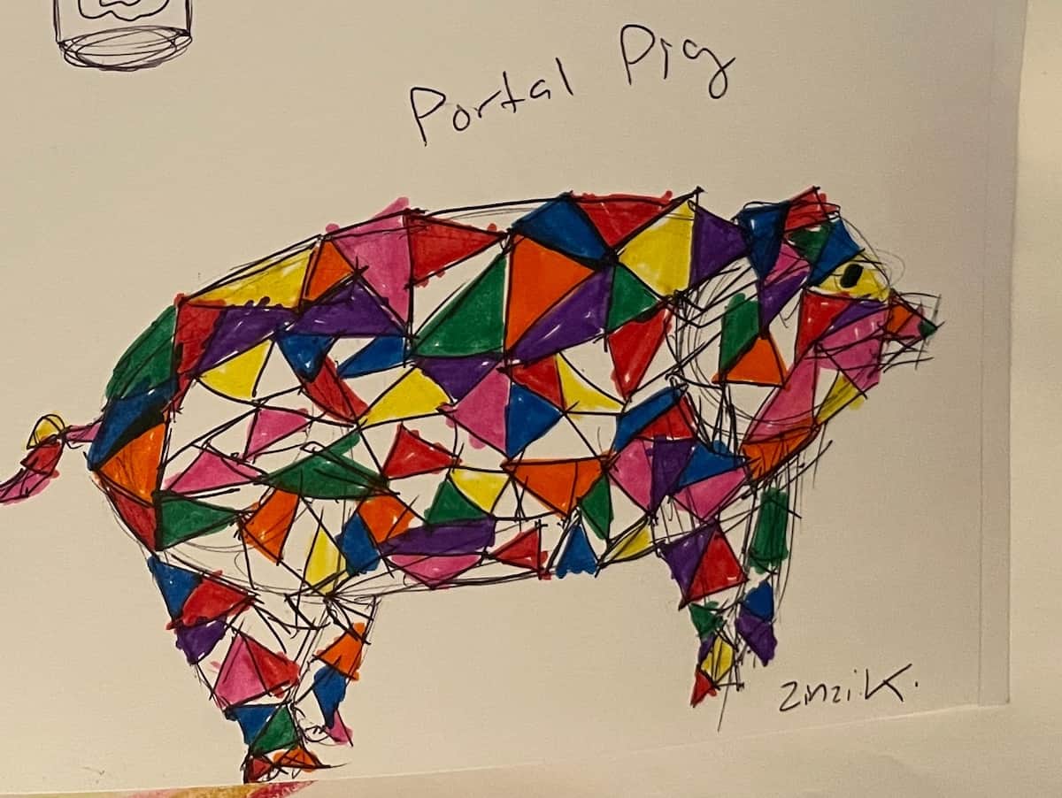 hand drawing of a pig with multi dimensional colors
